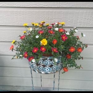 Meet your Posher, Helen